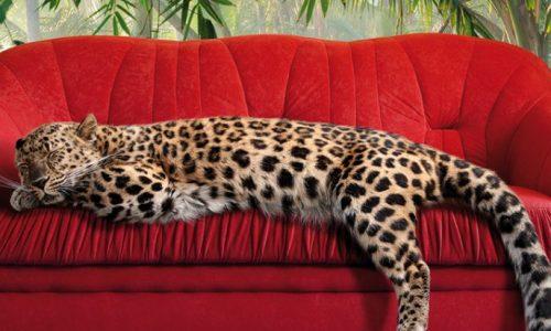 décoration leopard