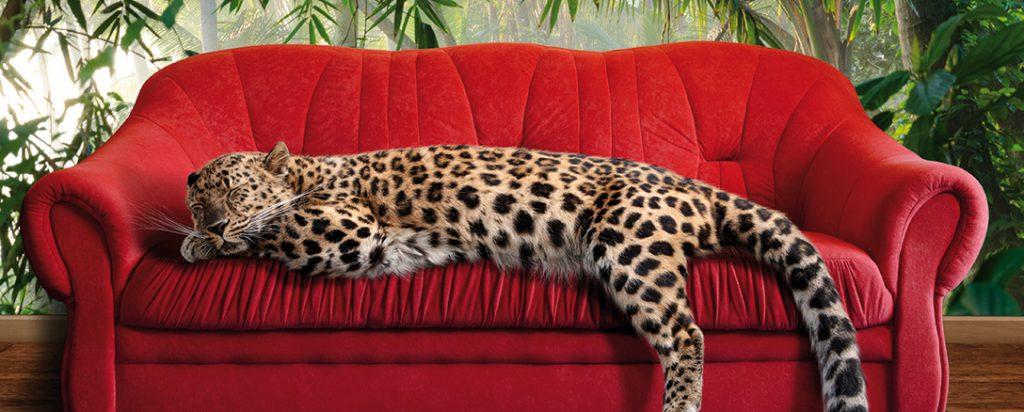 décoration leopard