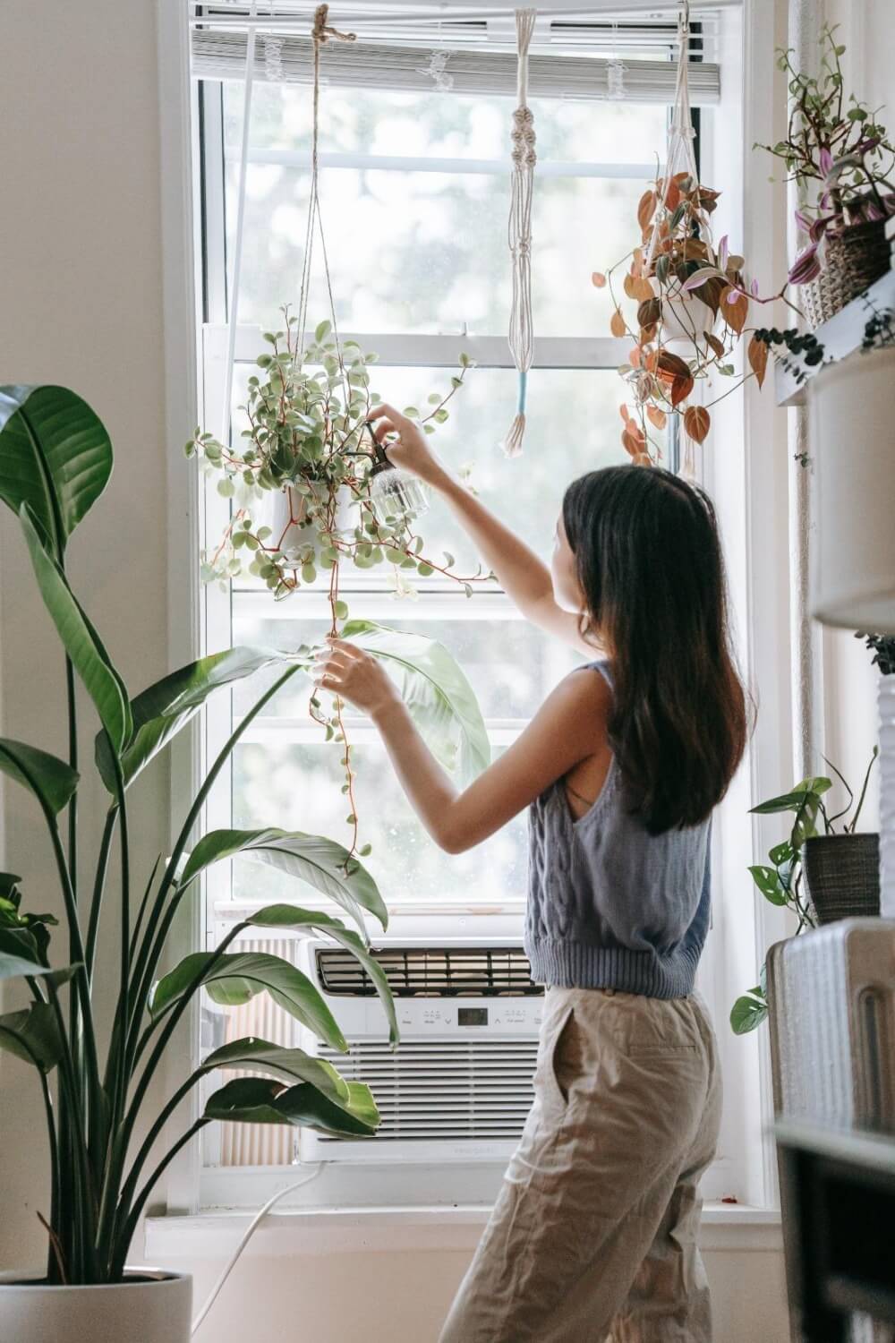 femme qui décore sa fenêtre avec des plantes
