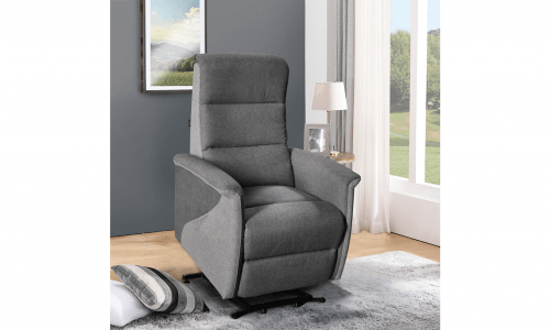 Fauteuil PHENIX 1