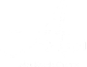 logo artcopi
